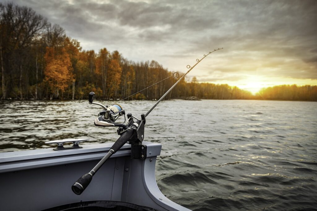 Karaś - poznaj idealną metodę łowienia.
źródło: pixabay.pl