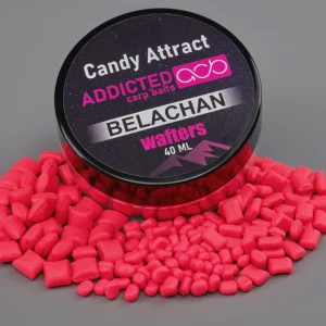 Addicted Carp Candy Attract Wafters Belachan 3.5 mm 5 mm 8 mm