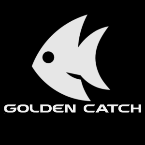balanced hook (1)