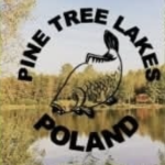 pine tree lakes
